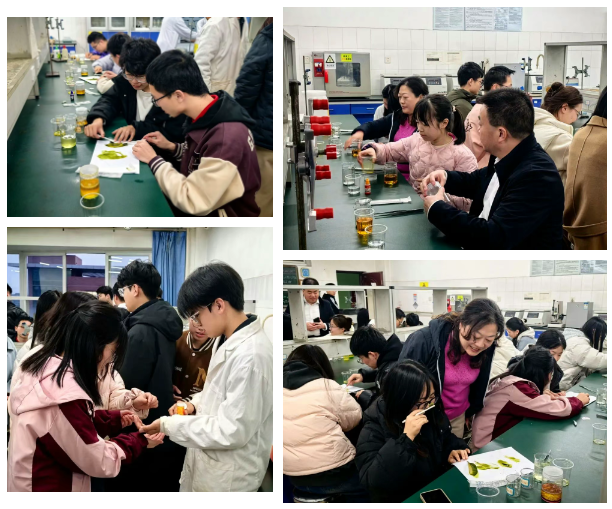 澳门六合彩开奖网