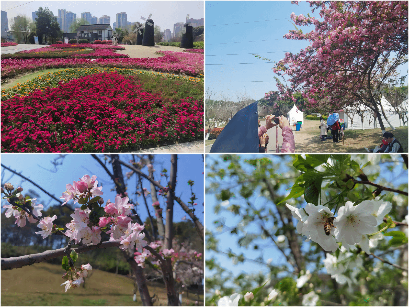 澳门六合彩开奖网